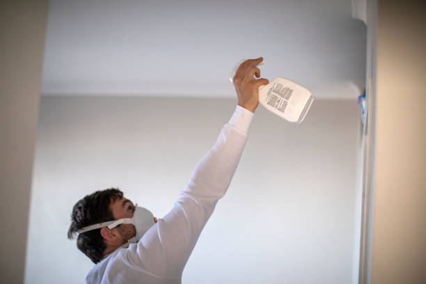 Best Local Mold Removal Service  in Quinlan, TX