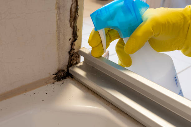 Best Professional Mold Removal  in Quinlan, TX