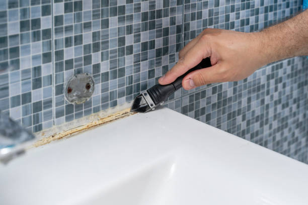  Quinlan, TX Mold Removal Pros