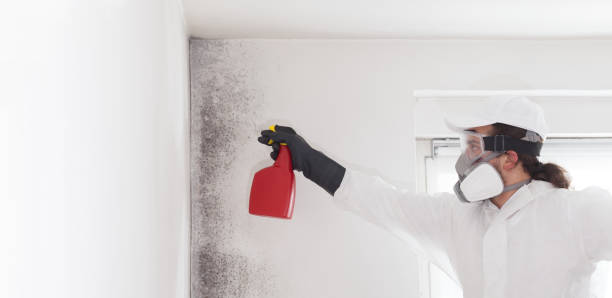 Best Emergency Mold Removal  in Quinlan, TX