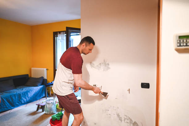 Best Attic Mold Removal  in Quinlan, TX